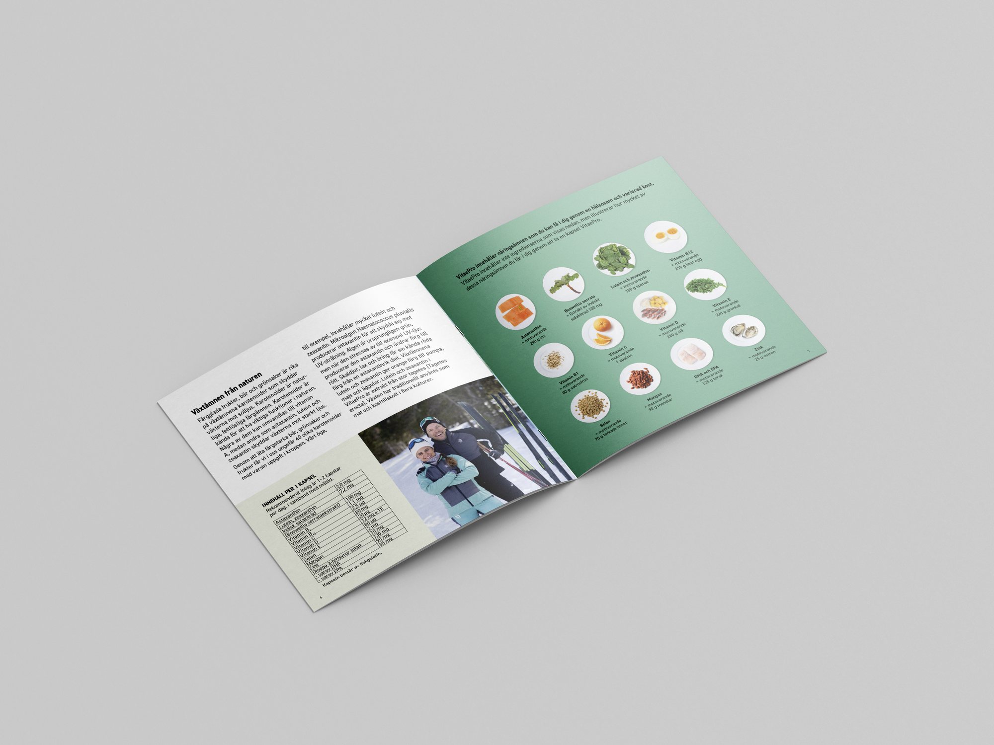 Brochure spread with a grid of ingredient photos in circles