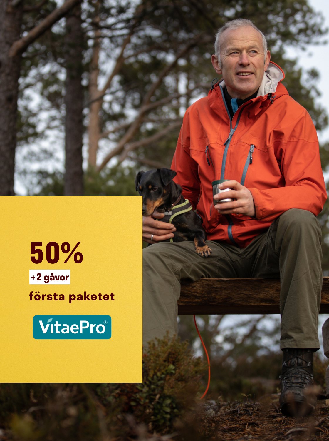 Offer banner: 50% off the first pack plus two gifts, a man with his dog on a forest bench